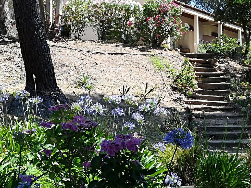Auberge Ferayola Galeria  Bagian luar foto